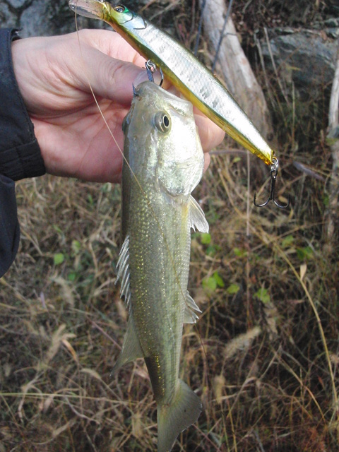 20111125_01