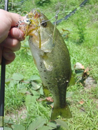 20120626_03