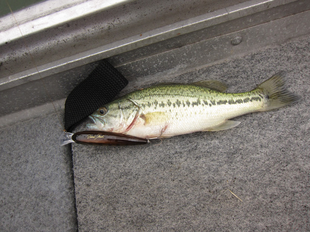 20120707_03