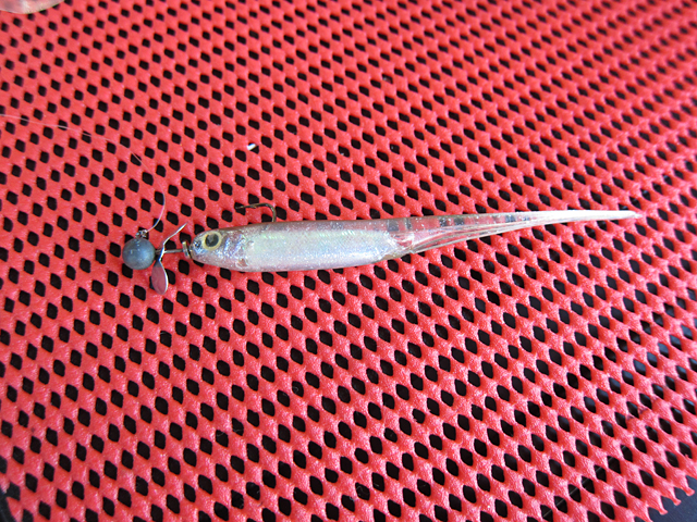 20120825_10