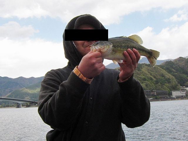 河口湖ブラックバス釣果
