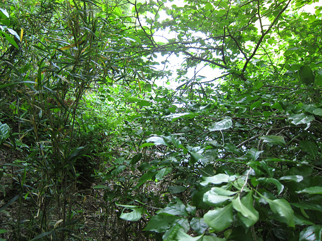 20130510_03