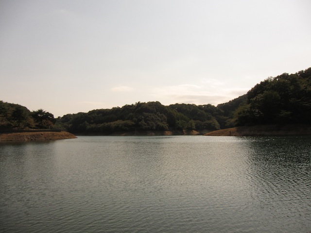 竹沼バス釣り