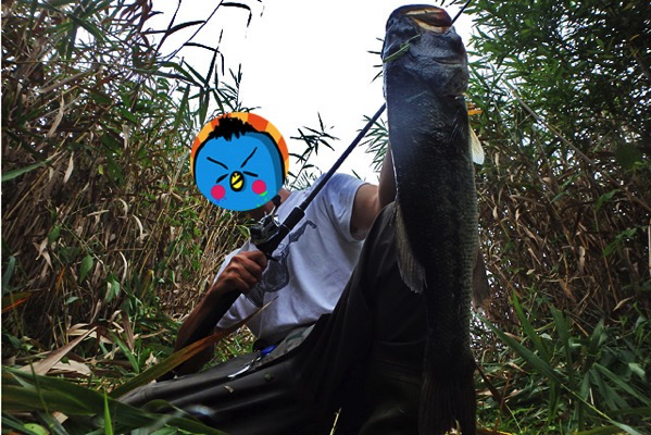 NewImage.png NewImage