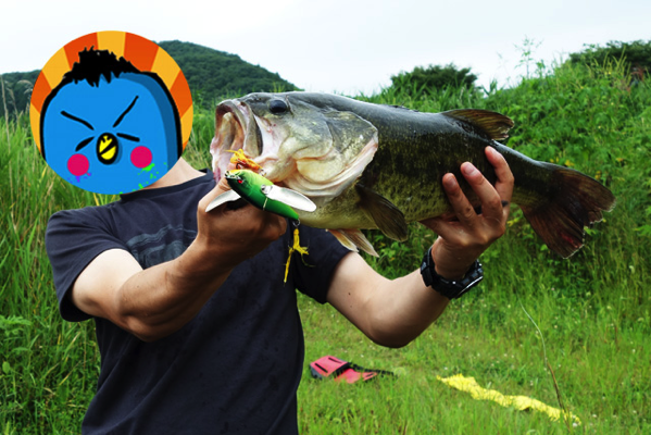 NewImage.png NewImage