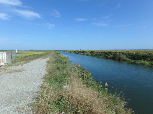 霞ヶ浦 西の洲水路