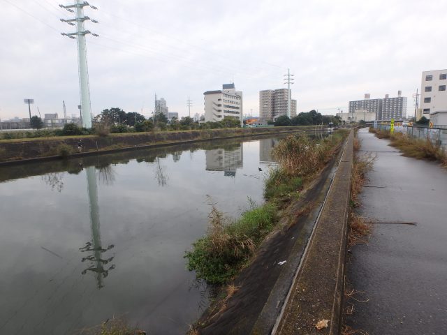 霞ヶ浦 冬 ポイント 新川