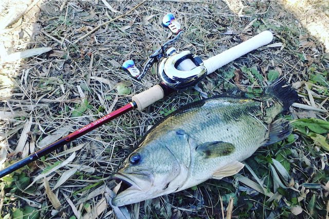 冬バス釣り ワールドシャウラ入魂 隙あらばバス釣り